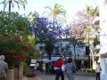 pleintje marbella